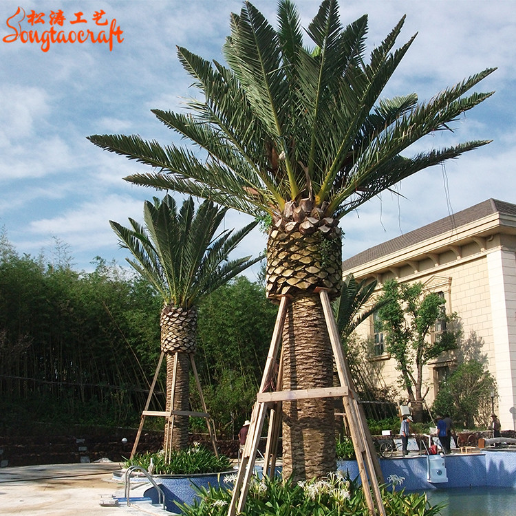 粗桿仿真中東海藻樹(shù)