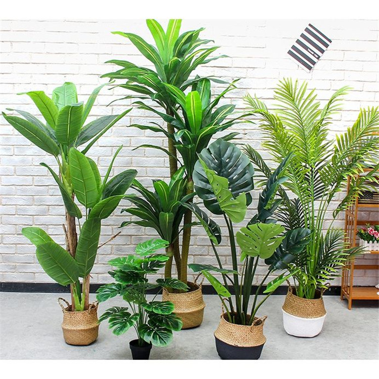 仿真植物應(yīng)該這樣合理使用
