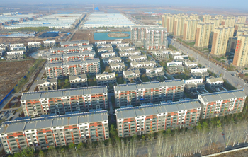 仿真樹(shù)
